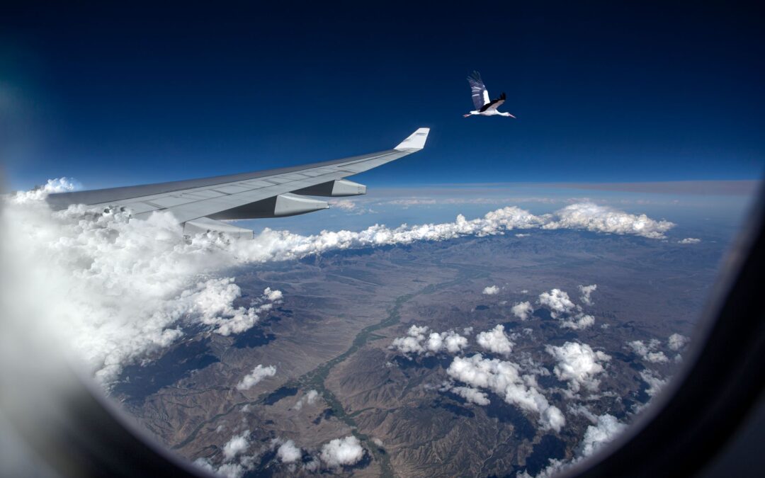United Airlines Catania flights: a new route for 2027