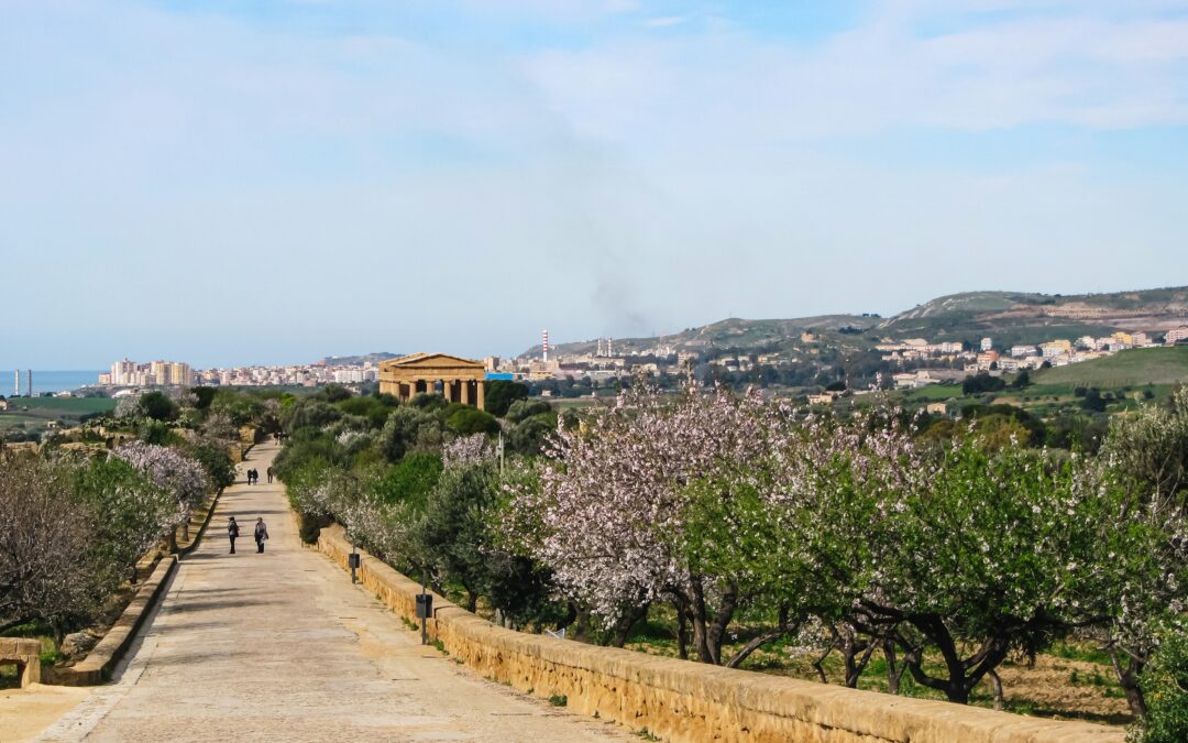 Almond Blossom Festival: Spring in the Valley of the Temples